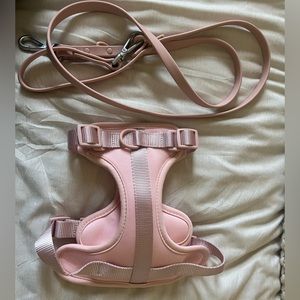Wild one size small harness and leash